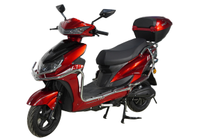 DSC03560_结果_pot Hm-01